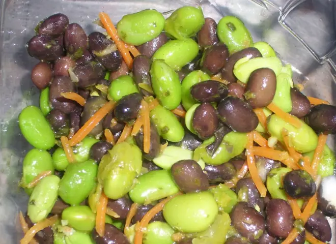 Leonhardt SD til at dosere og fylde salat i bakker og emballage - doseringsmaskine til at dosere fødevarerprodukt i emballage - dosering af kød, og andre fødevarer - kaldes også fyldeanlæg og fyldemaskiner.